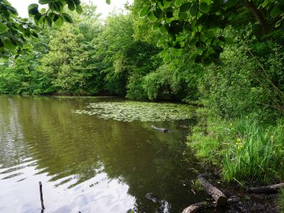 Ausflugsziele für Groß und Klein